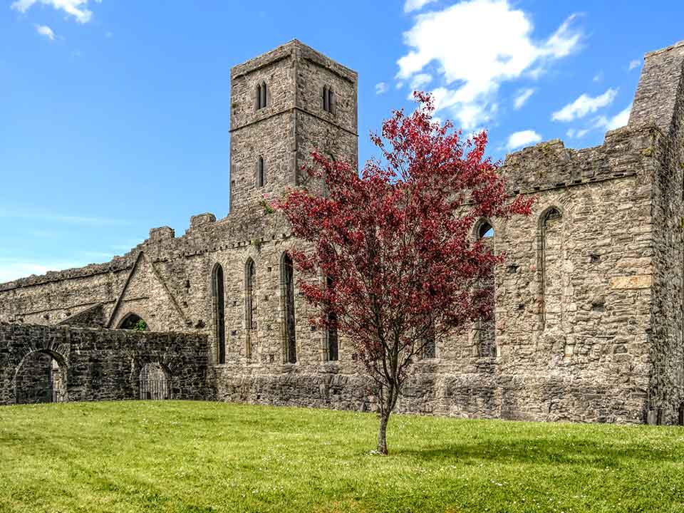 Sligo Abbey - Yeats Country Roadtrip