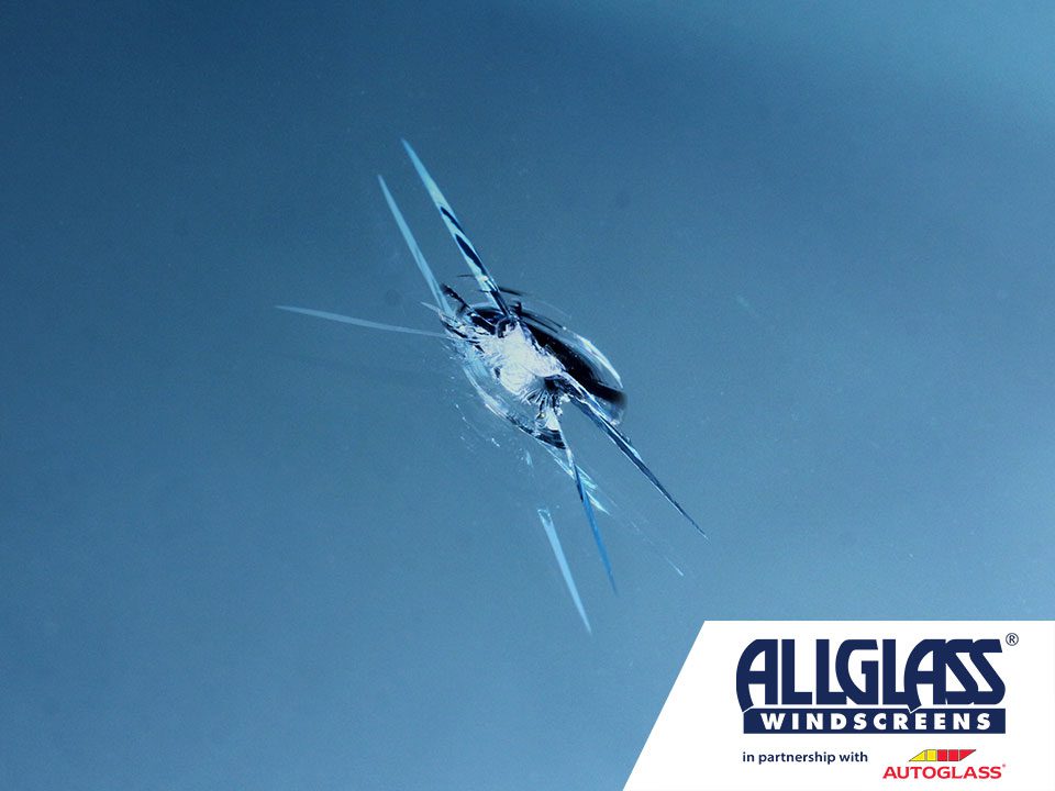 Why DIY Windscreen Chip Repair is Riskier Than You Think Autoglass® Blog