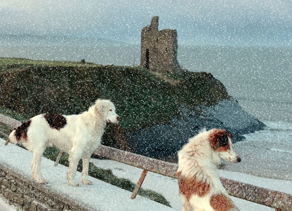 Ballybunion Coast Walk – Co. Kerry