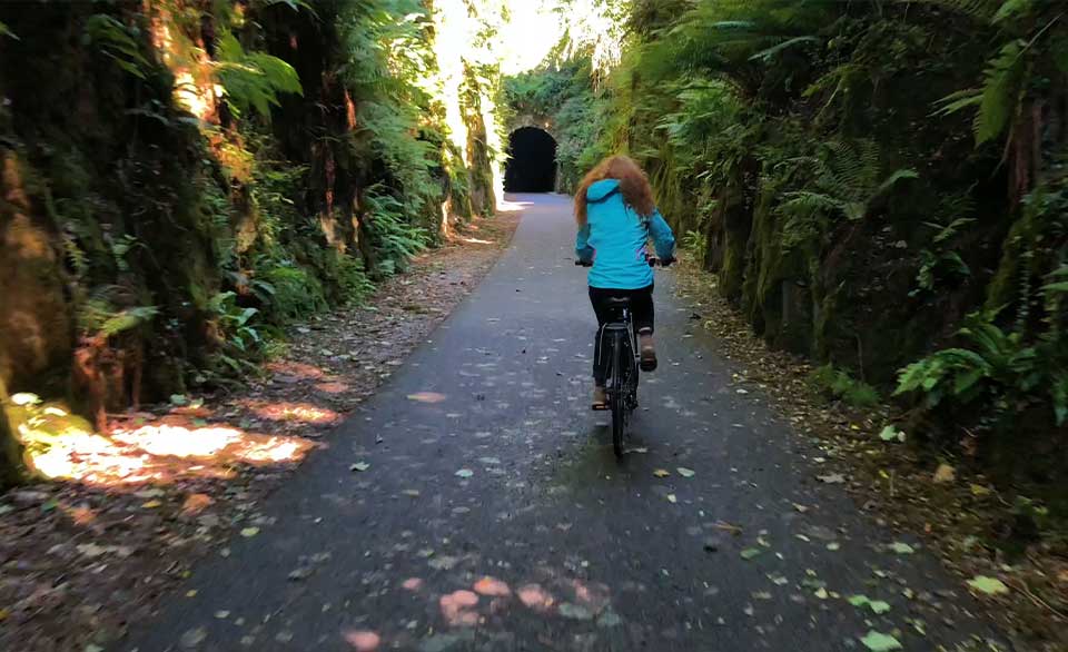 Best Cycling Routes in Ireland - Limerick Greenway